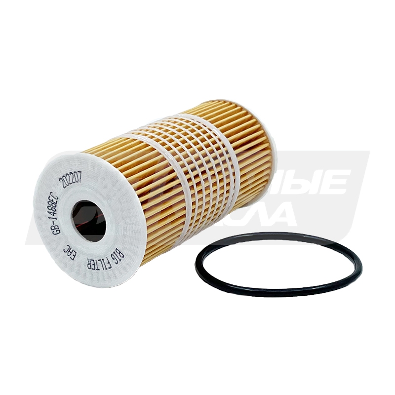 BIG FILTER GB-1488EC (HU 6011 Z, GM 4407115) GB1488EC